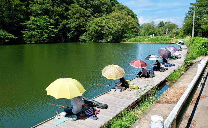 今週のヘラブナ推薦釣り場2025【長野県・田川浦湖】 (2025年9月9日) - エキサイトニュース