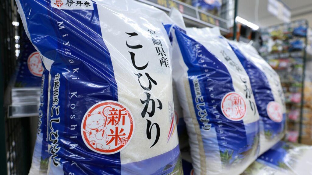 ｢この給料じゃ新米は逆立ちしても買えない｣2025年="実質賃金"ダダ下がりで国民を泣かせ続ける｢元凶｣は誰か ― 一人当たり平均収入が1000万円超の米国、世帯年収1000万円超は12％の日本