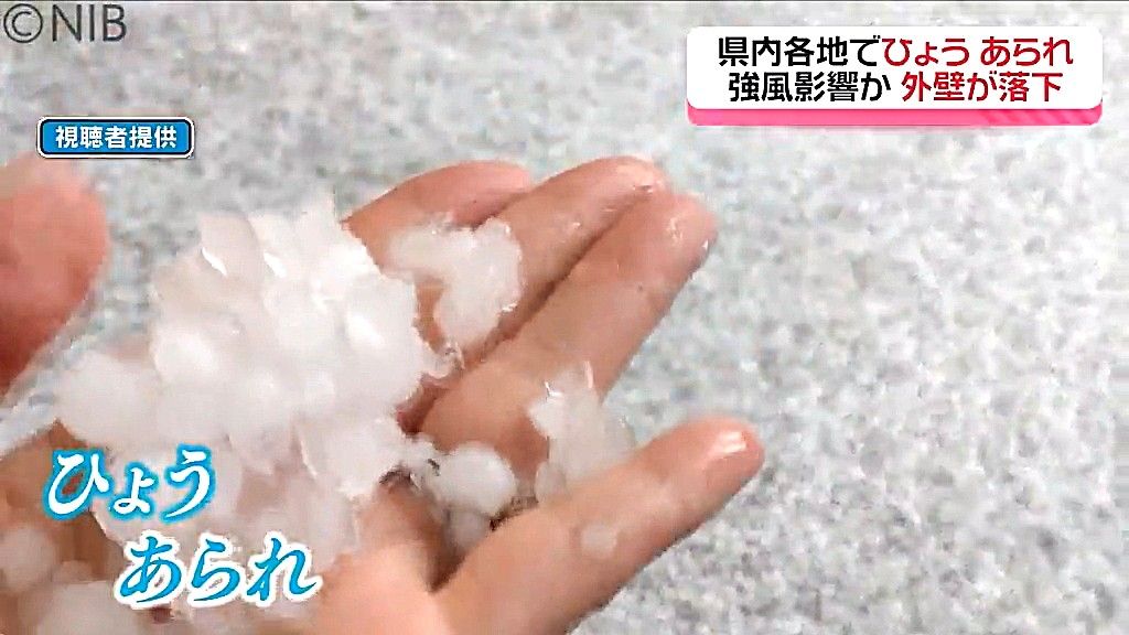 共有