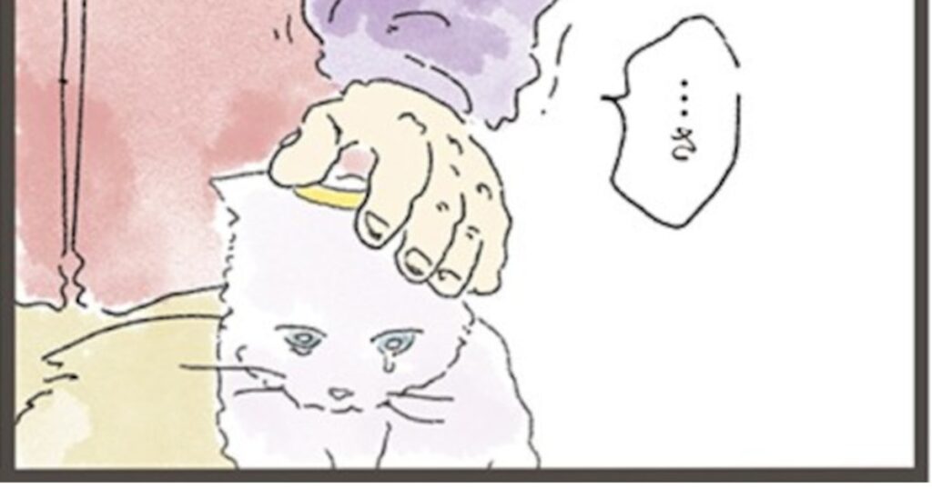 拾われて3カ月で病死。年老いた飼い主との再会で忘れられていたはずの猫が見た“真実”　（中山有香里） | FRaU