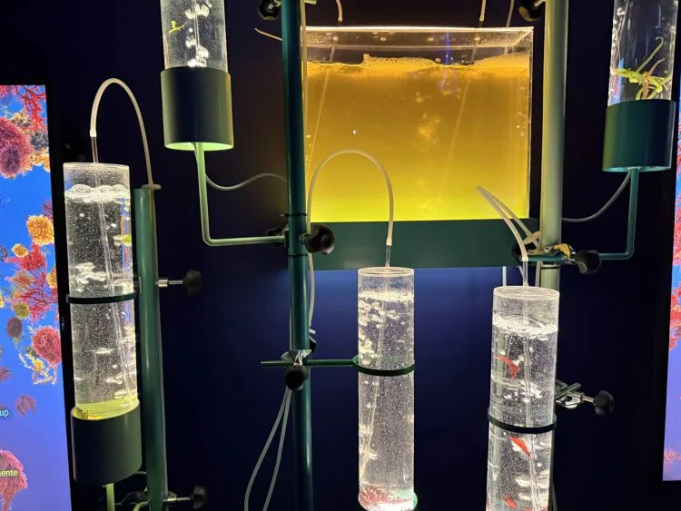 adf-web-magazine-expo-osaka2-00024