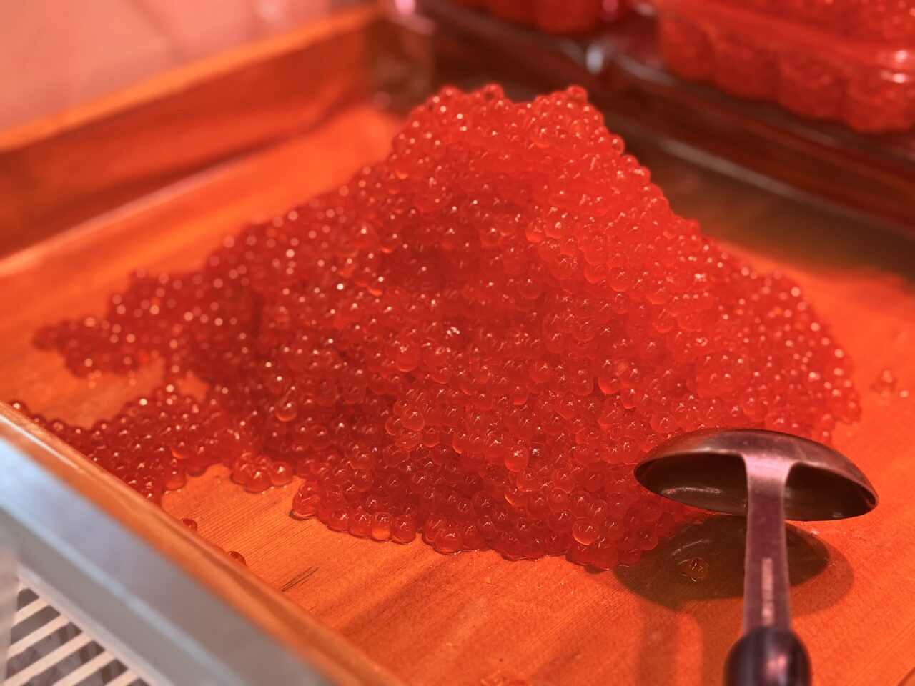 高知大丸で開催されている「秋の北海道物産展」の様子（2025年9月17日撮影）