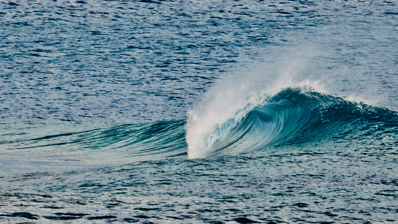 スクリーンショット 2025-09-28 7.37.19