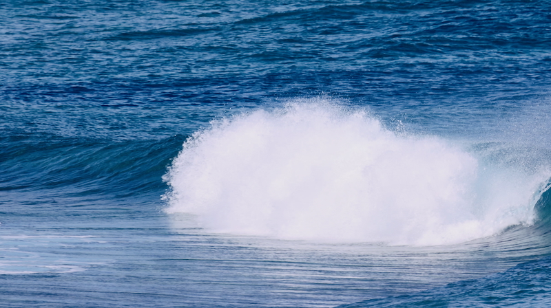 スクリーンショット 2025-09-28 7.33.38