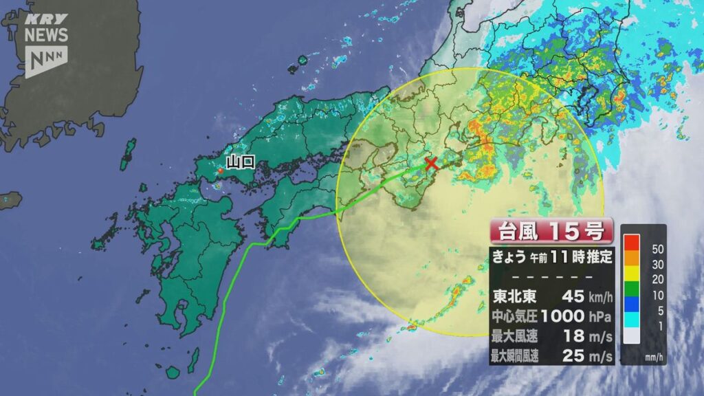 共有