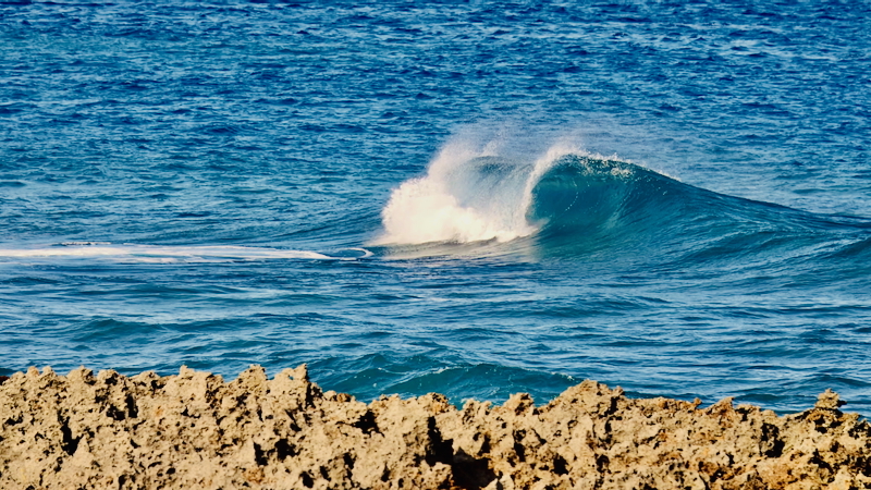 スクリーンショット 2025-09-28 7.08.16