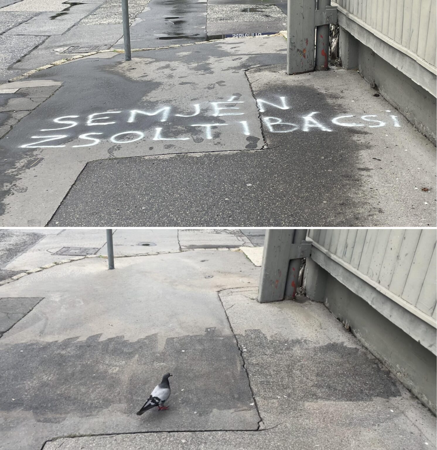 アップデート！約24時間で、グラフィティはszőlő街で排除され、鳩でさえ驚きました。あなたはあなたが欲しいかどうか知っています！