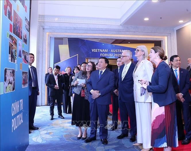 Các đại biểu tham quan tham quan khu trưng bày tại Diễn đàn. (Ảnh: TTXVN)