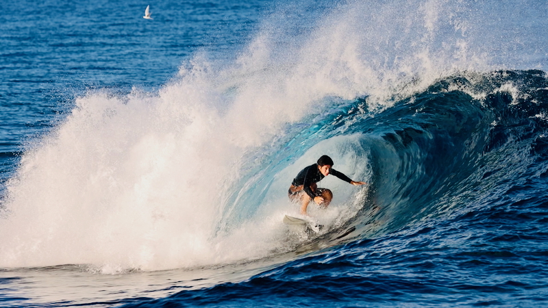 スクリーンショット 2025-09-28 9.52.23