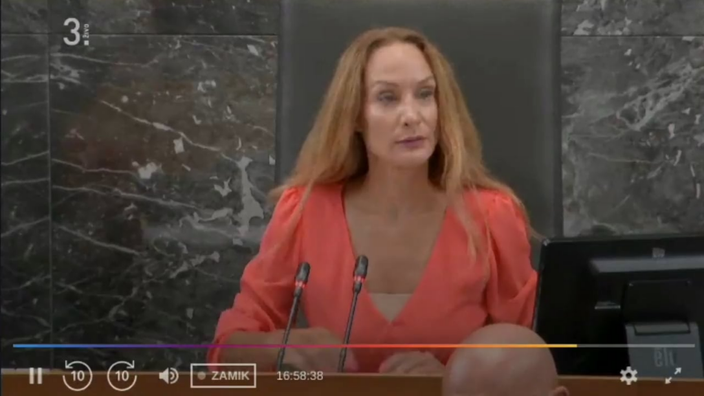 チャットコントロール - 議会の質問と大臣の答え
