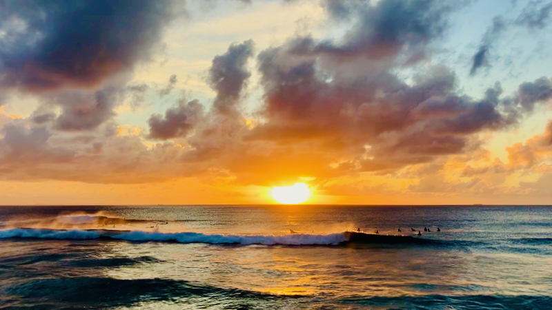 スクリーンショット 2025-09-28 7.56.40