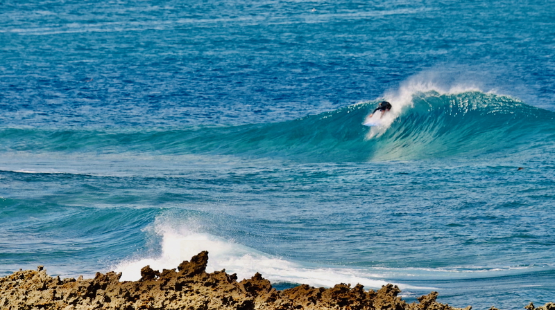 スクリーンショット 2025-09-28 7.30.47