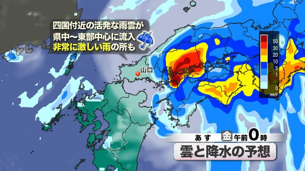 共有