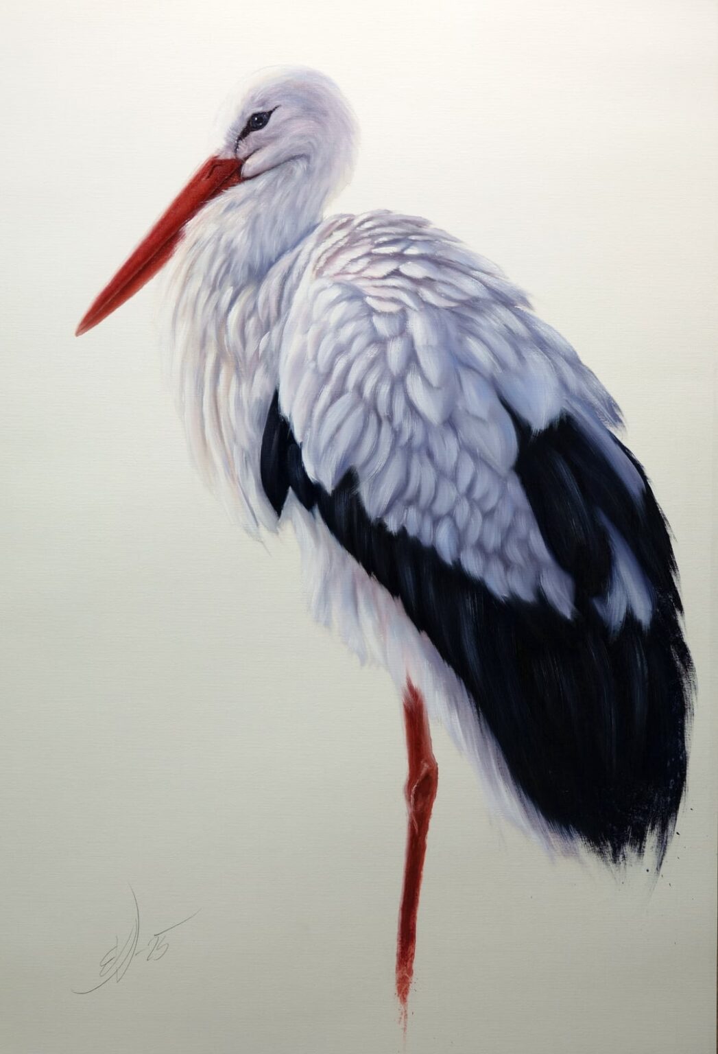 初めて私がコウノトリの絵を描くのは初めてです。私たちの動物相で最も一般的な鳥ではないかもしれませんが、私は彼らが美しいと思います。みなさん、素敵な週末をお祈りします！