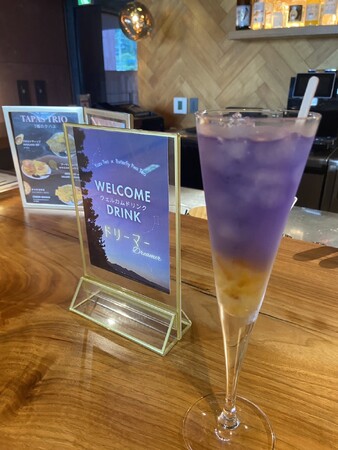 見て、飲んで、巡る──宿泊者限定の贅沢なホテル体験 | 鹿児島・九州プレスリリース | 生活情報 | くらし