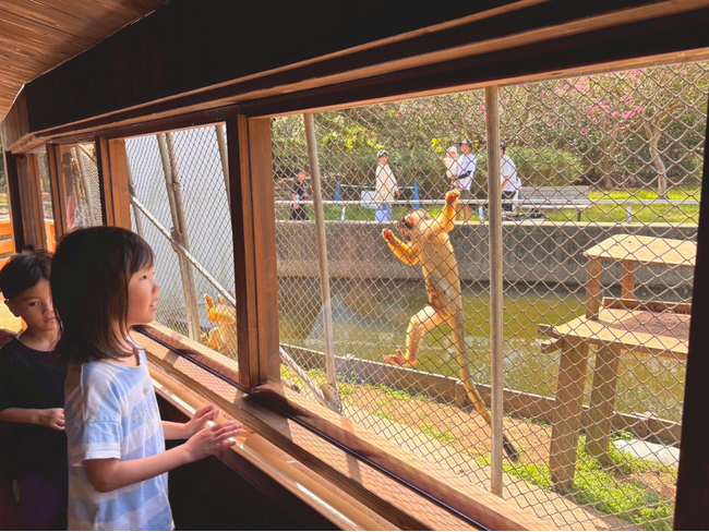リスザルビュースポット登場【国営海の中道海浜公園】 | 鹿児島・九州プレスリリース | 生活情報 | くらし