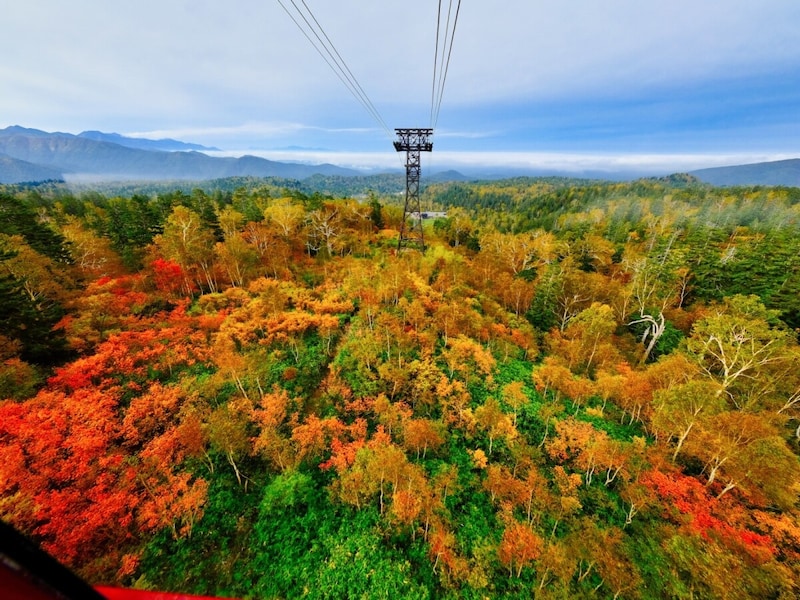 大雪山の紅葉風景