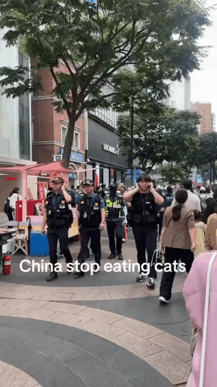 韓国人が中国人に猫を食べるのをやめるよう要求