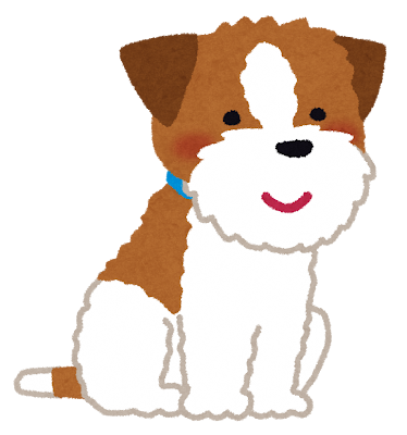 dog_jack_russell_terrier