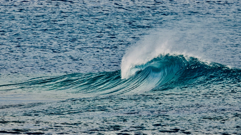 スクリーンショット 2025-09-28 7.37.08