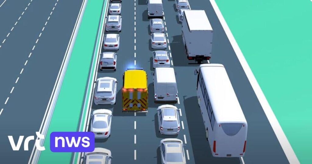ベルギー人の半数は、ライフストリップを正しく形成する方法を知らない：それはどうあるべきか？