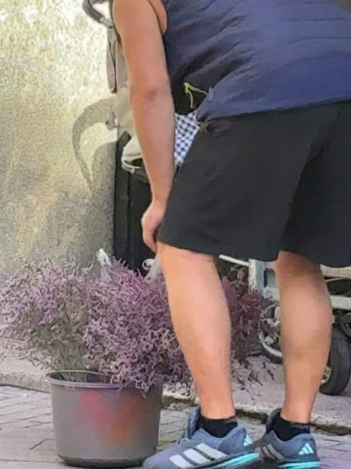 ザグレブフラワーマーケット