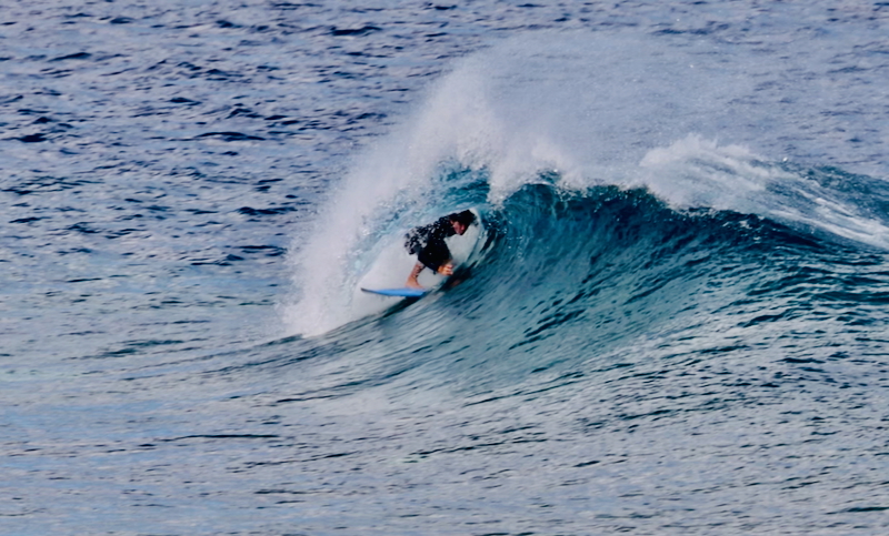 スクリーンショット 2025-09-28 7.15.36