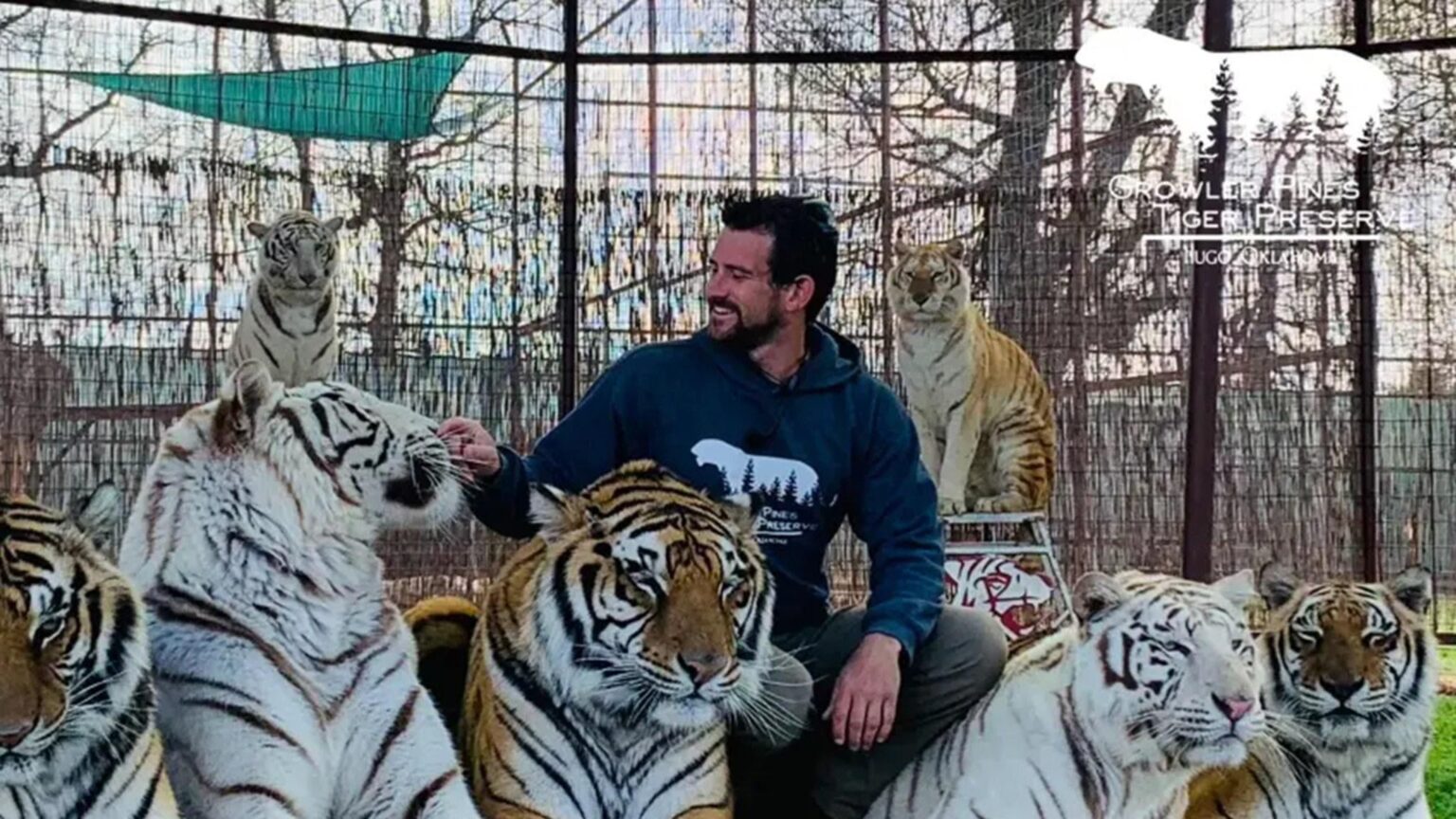 「タイガーキング」スタージョーエキゾチックのアソシエイトはタイガーに襲われた後に亡くなります