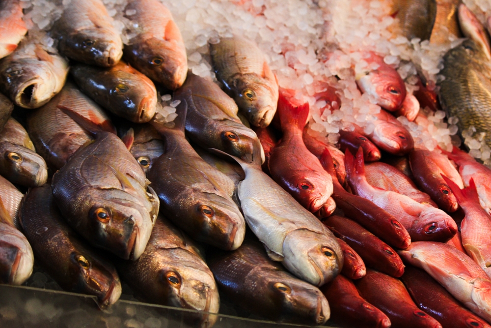 【EU】EU域外漁業慣行に関する改正規則、成立。資源量管理が不十分な国からの水産輸入制限強化 | Sustainable Japan