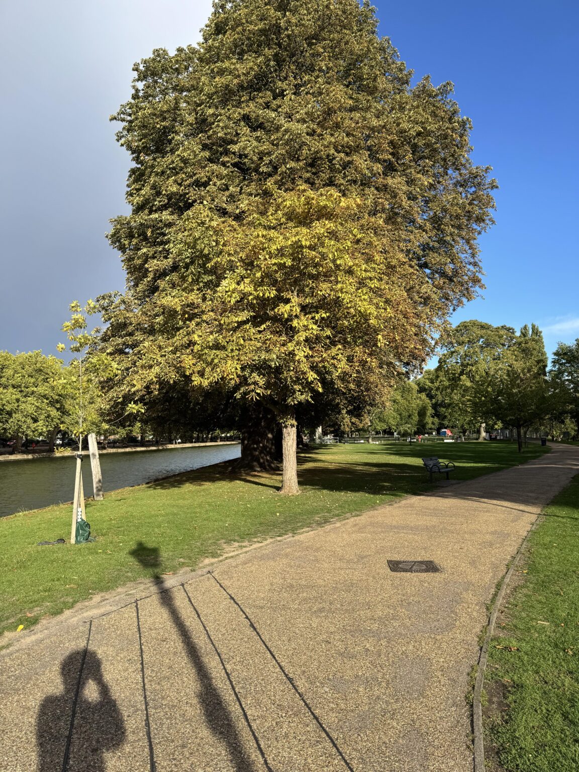 英国の天気を要約すると、この写真は編集されていません
