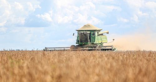 Brazil: Antitrust regulator suspends the Amazon Soy Moratorium, a key mechanism for rainforest protection