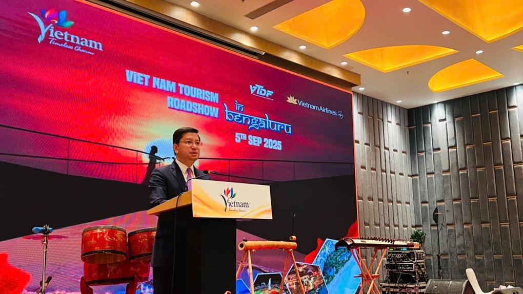 Việt Nam thúc đẩy quảng bá, tăng cường thu hút du khách thị trường Ấn Độ - 1