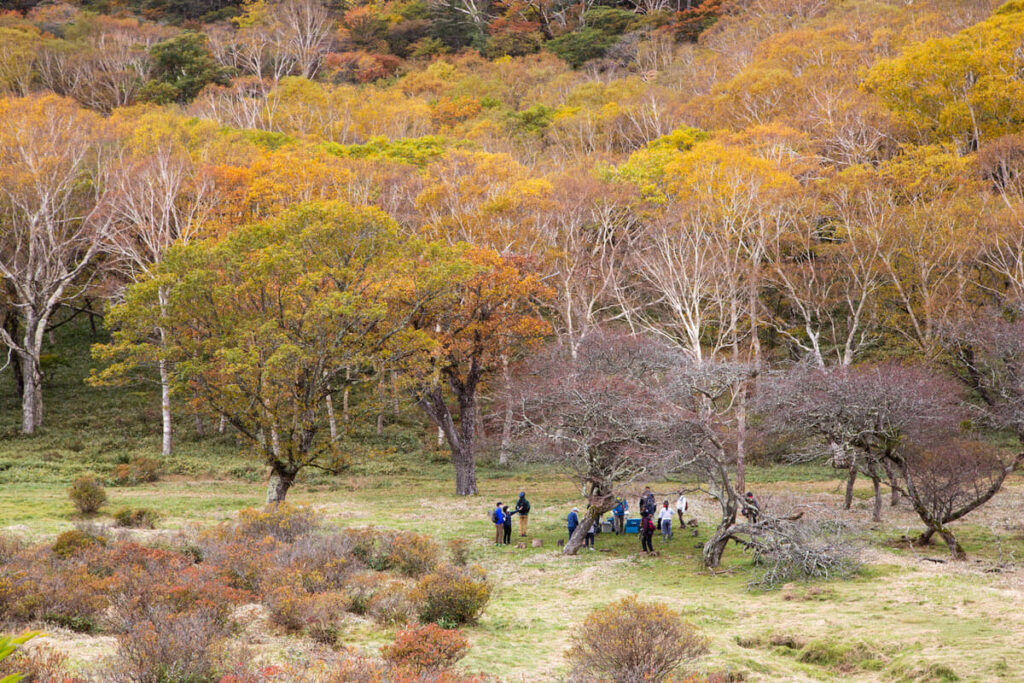 群馬県赤城山 紅葉の時期に「普段は入れない！赤城白樺牧場 秘密の絶景ツアー 2025Autumn」開催｜ニューズウィーク日本版 オフィシャルサイト
