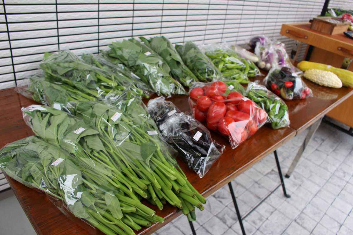 新鮮野菜購入可能。販売日は毎週土曜日ですが、臨時で曜日変更あり。要確認