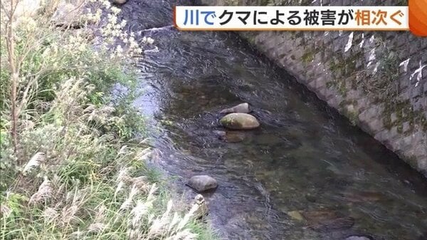 川で“クマ被害”相次ぐ…専門家「川はクマの移動経路になっている場合ある」 山に近い川には注意を 新潟｜FNNプライムオンライン - FNNプライムオンライン