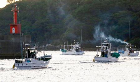 イルカや小型鯨の追い込み漁解禁 和歌山・太地町、抗議活動を警戒 | | 全国のニュース
