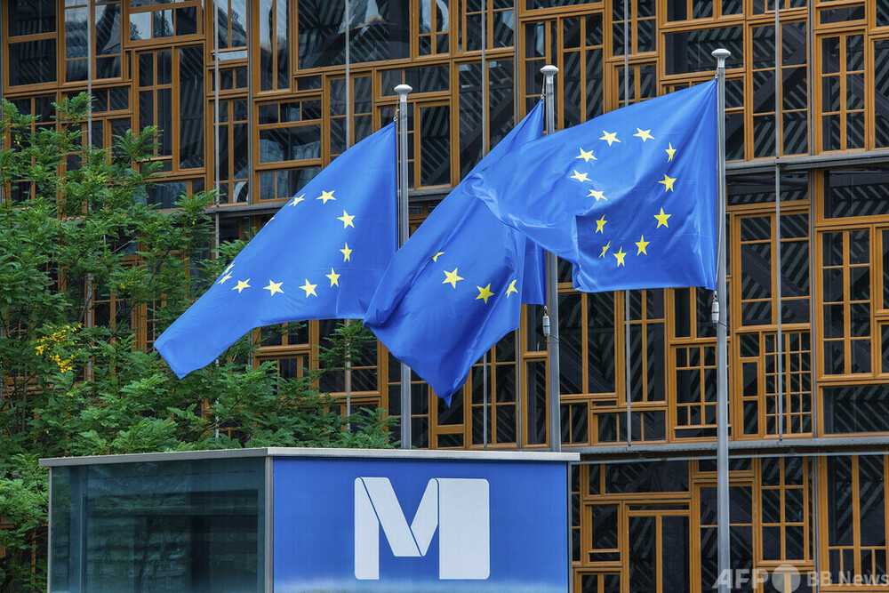 米国の圧力にもEU「デジタル関連立法の執行を継続」　写真1枚　国際ニュース：AFPBB News