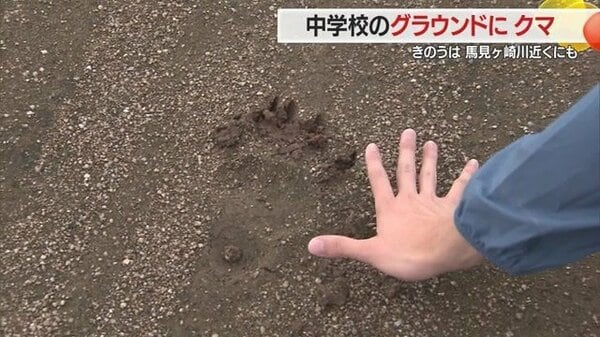 グラウンドにクマの足跡・爪痕くっきり！ 生徒がグラウンドにいない昼休みの出来事・そのほか住宅街や河川敷でも目撃【山形発】｜FNNプライムオンライン - FNNプライムオンライン