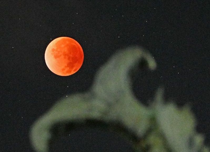 赤銅色の月 幻想的に 3年ぶりの皆既月食、佐賀県内でも | まちの話題 | 佐賀県のニュース - 佐賀新聞