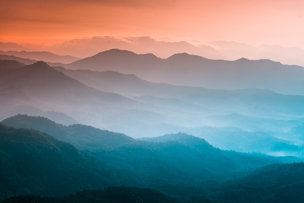 【インド】TNFDとインドBSRS制度、開示の整合性高い。TNFDやインド産業連盟合同ガイダンス | Sustainable Japan