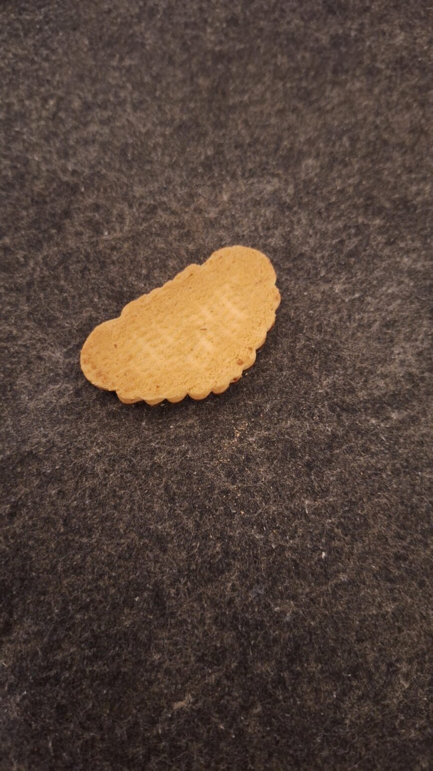 箱の中に逆の主婦を見つけました