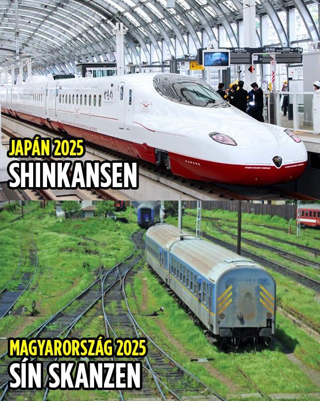 Máv2025