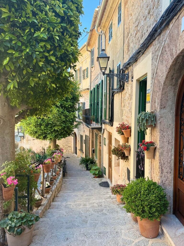 Mallorca -valdemassaとAlcudia