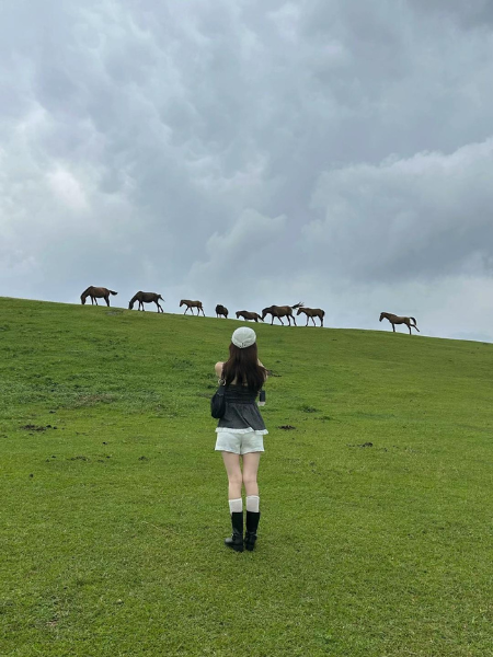 宮崎県串間市にある「都井岬」と野生馬