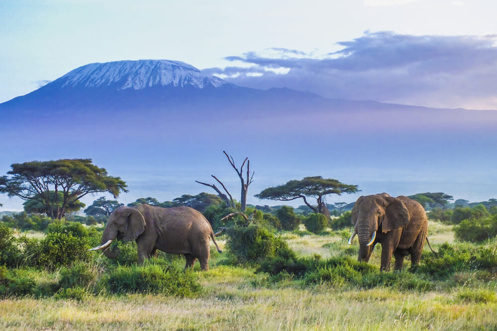 Luxury tourism in Africa often fails to benefit locals, new research shows