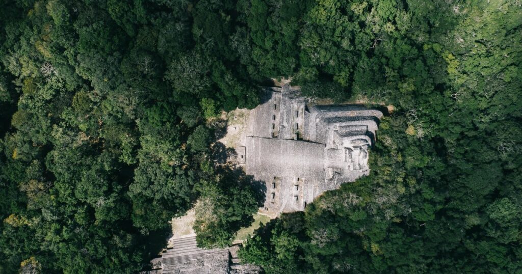 Mexico, Guatemala, Belize: Govts create Mayan jungle reserve as proposed train expansion threatens forests, wildlife, & Indigenous Peoples lands