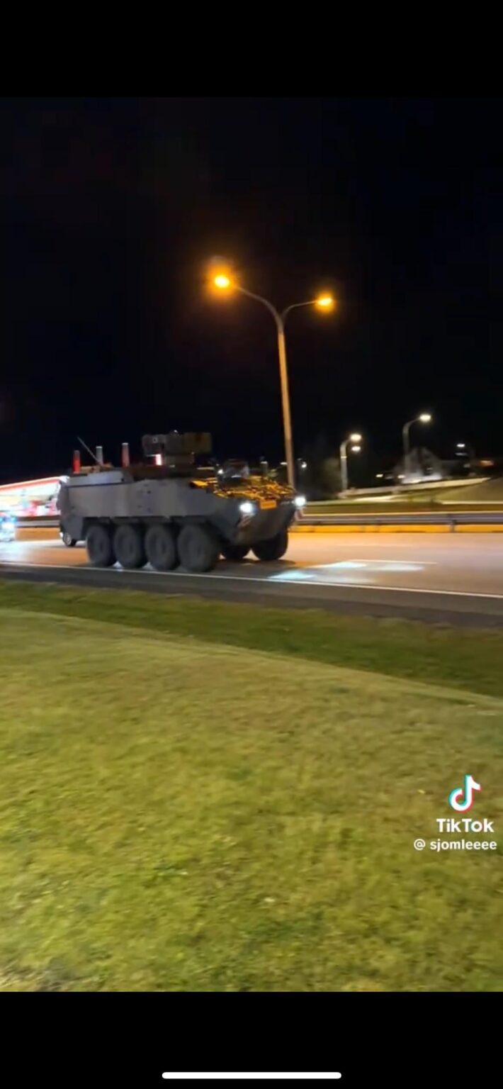 デンマーク軍は何をしていますか？