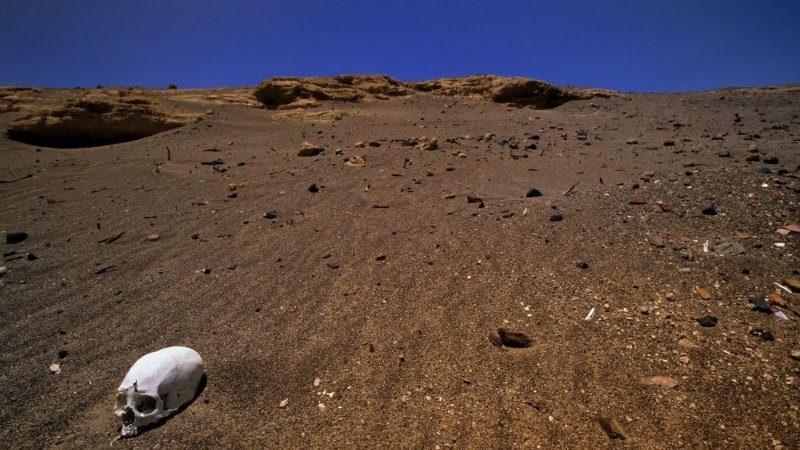 「顔を伏せ縛られた遺体も…」ペルーで約2300年前の墓を発見。考古学者が“異様な埋葬”と驚き ｜Pen Online