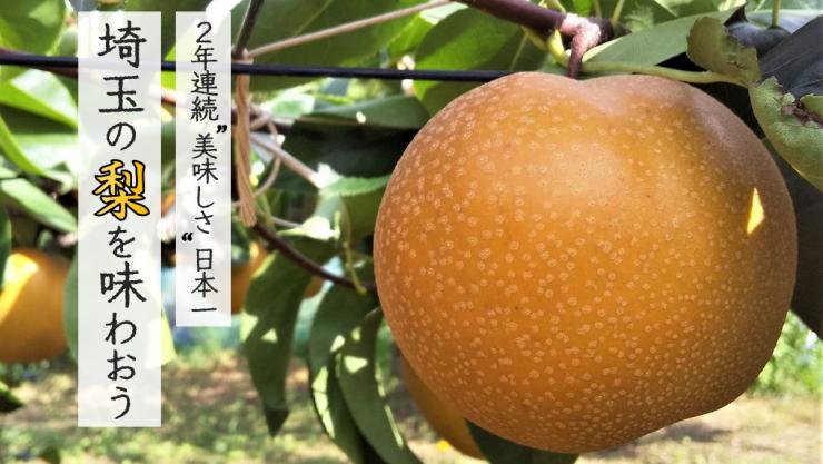 梨_R7