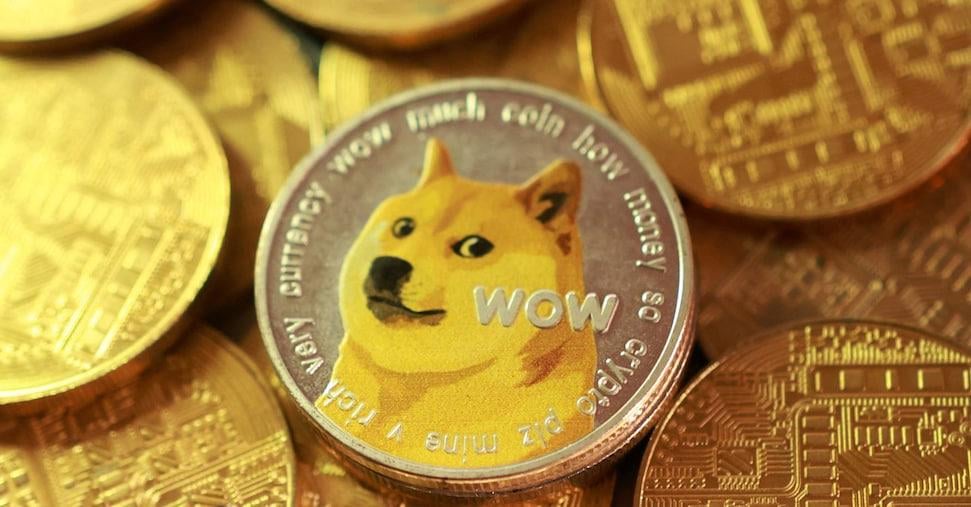 ILソール24鉱石：暗号通貨の手にあるトリエスティーナカルシオ：Do​​gecoin Foundationが最初の株主です